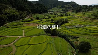 【4K】【空撮】明日香 稲淵の棚田