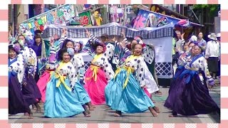 蔵っこ　「第13回 常陸国YOSAKOI祭り」にて