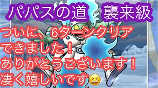 【DQMSL】パパスの道襲来級　無課金6ターンクリア