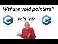 What are void pointers in C and C++ and how are they used?