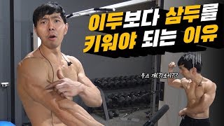 이두보다 삼두를 키워야되는 이유  (NO진지)