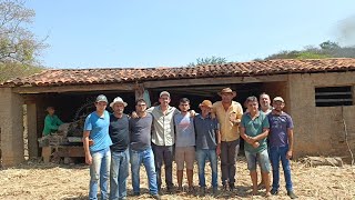 MOAGEM DE CANA NA FAZENDA PITOMBEIRA DA FAMÍLIA LAURINDO NO MUNICÍPIO DE MIRANDIBA PERNAMBUCO.