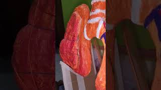 Respiratory System-Lungs working model #youtubeshorts #science #project #biology #viral #2023