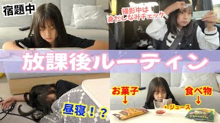 【放課後ルーティン】学校から帰ってから自由に過ごしまくりの娘に密着！