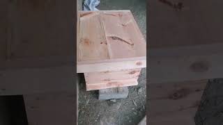 new box for apis mellifera