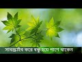 ঘরের মধ্যে আল্লাহর নামটি পড়ুন জীবনে কখনো অভাব হবে না ইয়া রাজ্জাকু নামের ফজিলত ও আমল