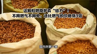 这颗粒燃烧炉真“给力”！不用燃气不用电，还比燃气的价格低3倍