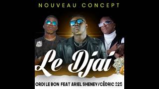 ORDI LE BON FEAT ARIEL SHENEY/CÉDRIC 225 LE DJAI