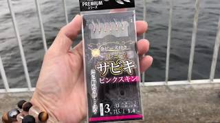 fishingmax芦屋　夕方のサビキ実釣してきました♪