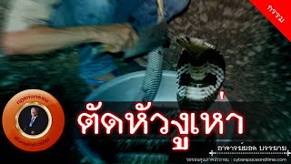 อาจารย์ยอด : ตัดหัวงูเห่า [กรรม]