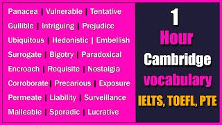 1 Hour Of Cambridge Vocabulary For Ielts Toefl And Pte Now English 24