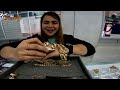 ALAHAS PRICE 18K, 21K 24K PER GRAM | Japan Gold | Saudi Gold | WHITE GOLD JEWELRY