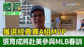 獲選經典賽A組MVP 張育成將赴美參與MLB春訓【體育快訊】