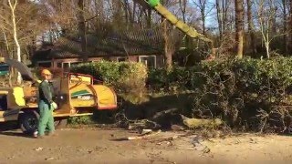 Machinaal bomen kappen.