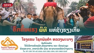 #Entertainment ບັນຍາກາດພິທີແຮ່ຊ້າງຮຽງເກີຍ ບຸນປີໃໝ່ລາວ ພສ 2566, ຄສ 2023 ຂອງນະຄອນຫຼວງພະບາງ