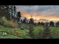 🌳 Relaxing Nature Sounds For Stress Relief, Bird Song, Forest Sounds