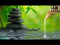 Relaxing Sleep Music + Insomnia: Bamboo, Stress Relief, Deep Sleep, ~ SAKERA LOPER