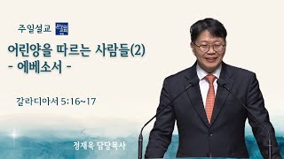 [일요주일 2부예배] 어린양을 따르는 사람들(2) - 에베소 교회 (요한계시록 2:1-7)│정재욱 목사│2025.1.12 (일)