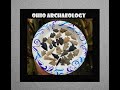 Ohio River Arrowhead Hunting  Ancient Treasures - Fossils - Rock Collecting - Archaeology - History