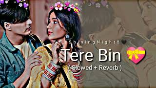 Tere Bin 💝  / Simba /   (  Slowed + Reverb    )   Hindi Song  #terebin #simbasong #saraAlikhan