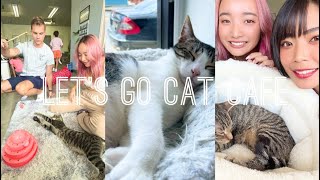 カンナのオペアライフ【休日編】カイムキに新しくできた猫カフェに行ってきた！