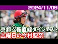 [京都2鞍] 今村聖奈～日曜日の2歳戦3鞍に期待します／2024年11月9日