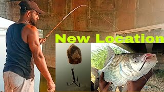 How To Catch Catla Fish || fishing Singh Shikar Techniques Video Vlog