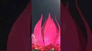 कमल के फुल में दूल्हा दुल्हन 🥰🥰🥰🥰😯😯।Lotus flower #shorts