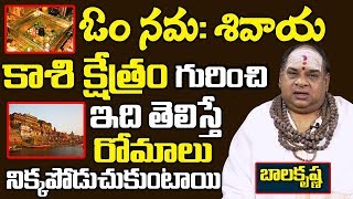 కాశీ క్షేత్రం గురించి ఇదితెలిస్తే రోమాలు నిక్కపొడుచుకుంటాయి \\ balakrisha swami about Kashi Varanasi