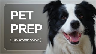 Hurricane Pet Preparedness