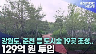 춘천 등 도시숲 19곳 조성.. 129억 원 투입