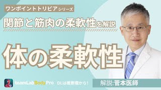 【体の柔軟性】関節と筋肉の柔軟性を現役医師が解説