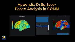 CONN Tutorial, Appendix D: Surface-Based Analysis