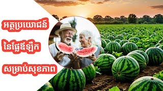 អត្ថប្រយោជន៍ផ្លែឪឡឹកសម្រាប់សុខភាព | Watermelon for Health