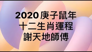 2019 12月25號（三）生活日腳（文王卦）2020庚子鼠年十二生肖運程（四）雞 ，狗 ，豬