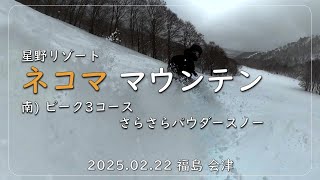 【ネコママウンテン】さらさらパウダースノーのピーク3コースをフリーラン / 2025.02.22