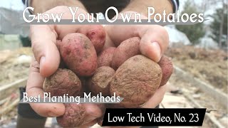 How to Grow Potatoes -- Low Tech Video, No. 23