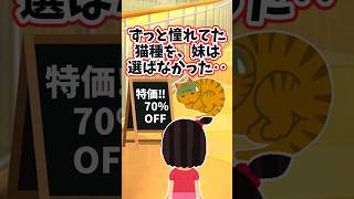 ずっと憧れていた猫種ではなく、売れ残っていた猫を妹は選んだ　　　　　　　　　　　　.　　　　　　　　　　　　　　. 　　　　　　　　　【 泣ける話 感動する話 】 #2ch #猫 #犬 #Shorts