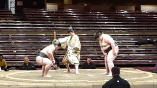 Kotohayashi (2-0) - Asahikuni (1-1) , Sumo : Natsubasho '16