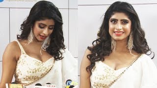 Vindhya Tiwari At GOLD Awards 2018 Red Carpet