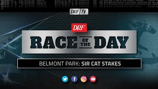 DRF Friday Race of the Day | Sir Cat Stakes 2020