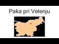 paka pri velenju