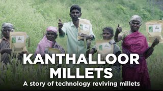 Kanthalloor Millets: A story of technology reviving millets | Lenovo | Millets | Gaon Connection