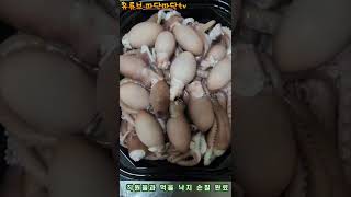 낙지 머리 아니고 배입니다