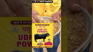 बड़ा Udder लेवटी बढ़ाने का No.1 देशी फार्मूला | Vicky Pansari 📞9416157532 📞8222057532 #udder #cattle