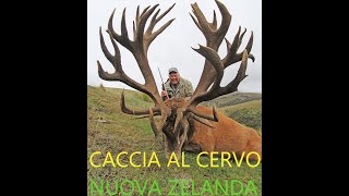 Caccia Al Cervo in Nuova Zelanda