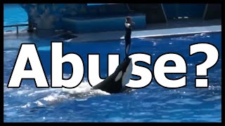 The HORRORS Inside of SeaWorld  |  Scary Fascinating