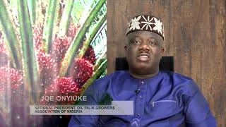 You and the Economy (2021) Episode 11: CBN Intervention in the Oil Palm Sub-Sector (Part 4)