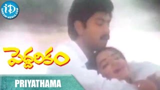 Peddarikam Movie - Priyathama Priyathama Video Song || Jagapathi Babu || Sukanya || Raj-Koti