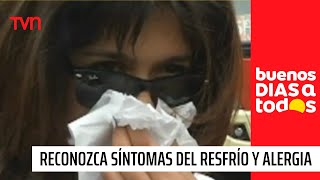 Reconozca los síntomas de un resfrío y una alergia | Buenos días a todos